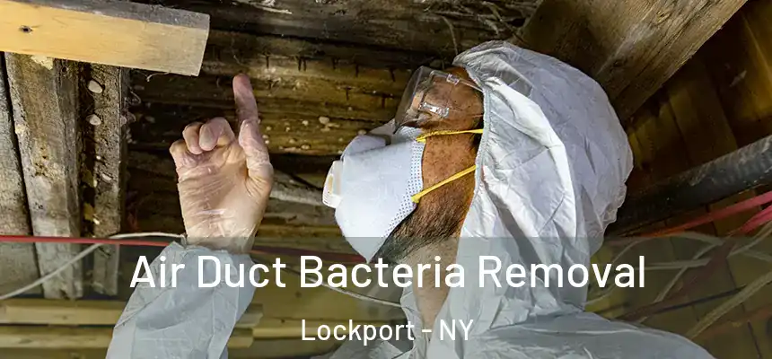 Air Duct Bacteria Removal Lockport - NY