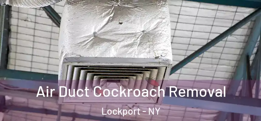 Air Duct Cockroach Removal Lockport - NY