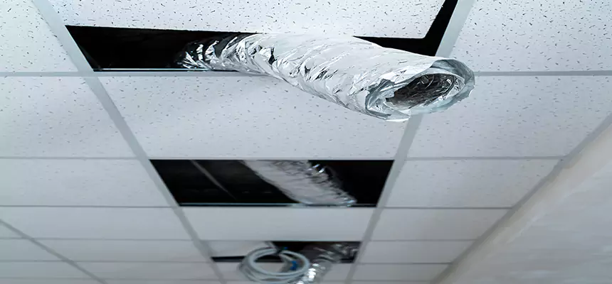 Our Air Duct Pet Hair Removal Services in Lockport, NY