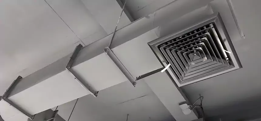 Our Pest Removal From Ducts Services in Lockport, NY