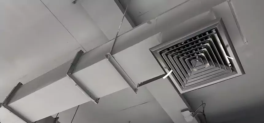 Our Rodent Droppings In Vents Services in Lockport, NY