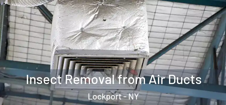 Insect Removal from Air Ducts Lockport - NY