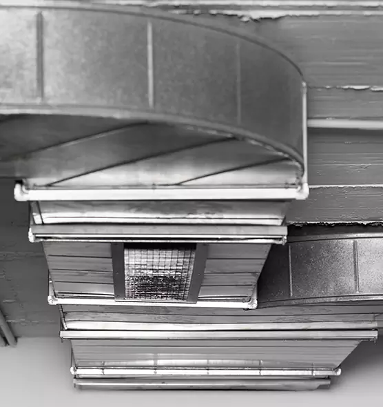 Professional Air Duct Pest Removal in Lockport, NY