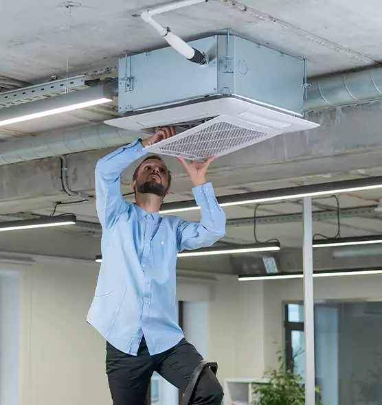 Advanced Rodent Droppings In Vents in Lockport, NY