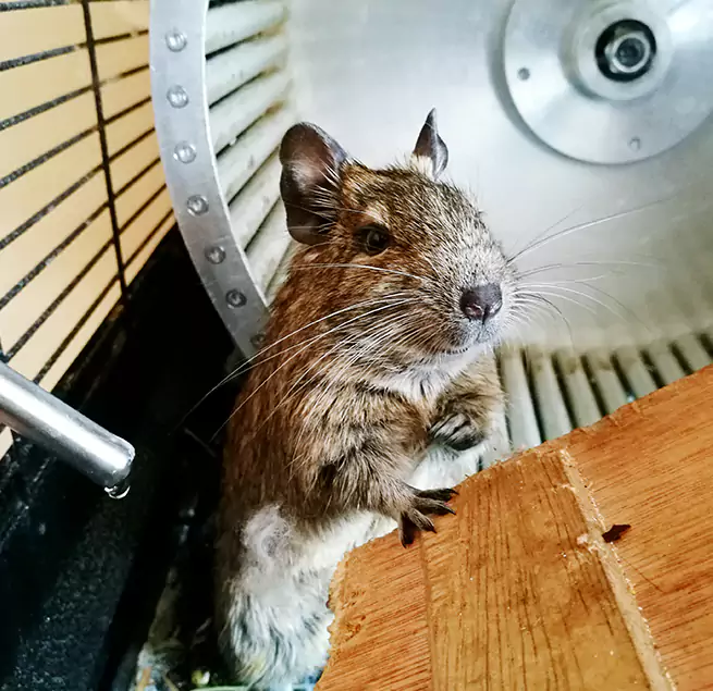 Why Homeowners & Businesses Trust Us Lockport, NY